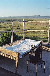 The Future of Travel Medicine